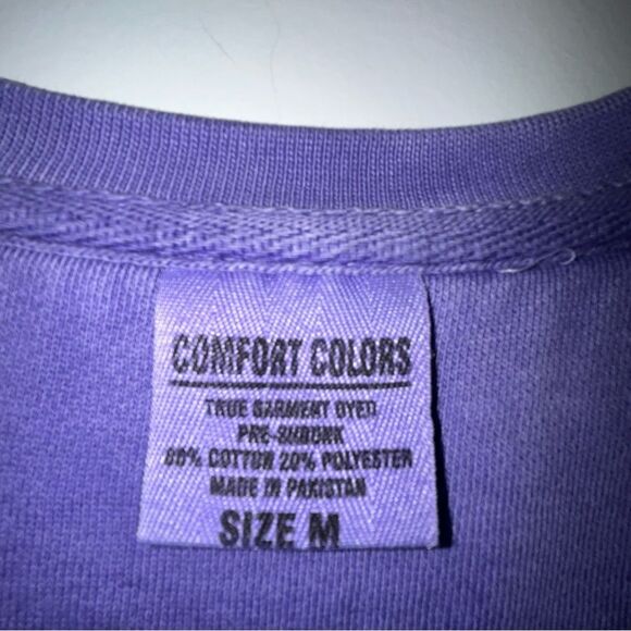 Comfort Colors Vikes Graphic Print Long Sleeve Oversized Sweatshirt - Picture 5 of 7